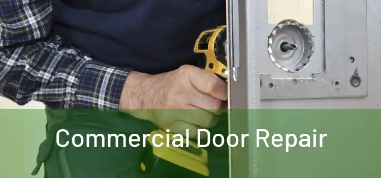 Commercial Door Repair