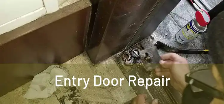 Entry Door Repair