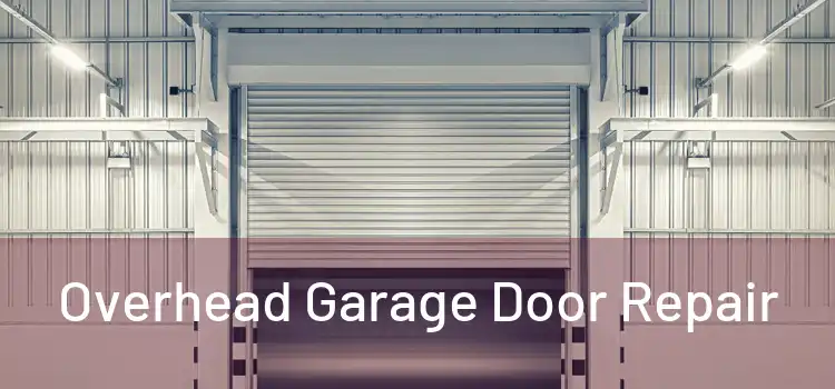 Overhead Garage Door Repair